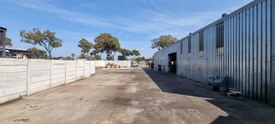 To Let commercial Property for Rent in Beaconvale Western Cape